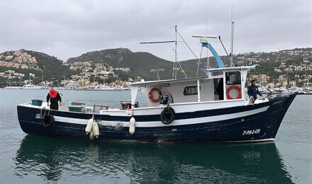 www.pescaturismomallorca.com excursiones en barco en Mallorca con Ferre