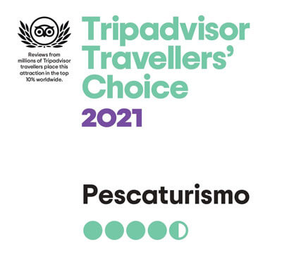 Pescaturismo gana el premio Travellers' Choice de Tripadvisor